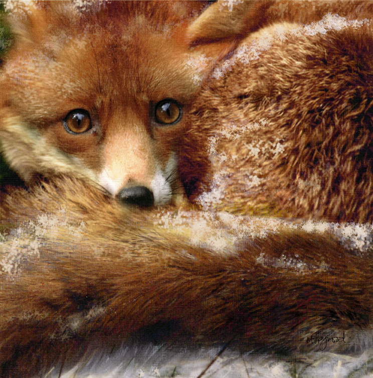 Art 8